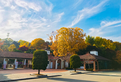 베어트리파크 철쭉제