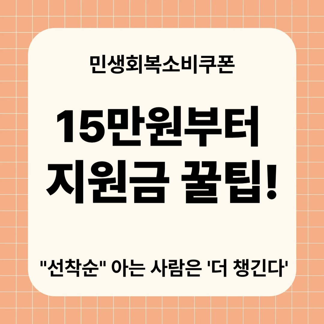 2025 민생 회복 소비쿠폰 지급액·사용처 총정리 (최신)