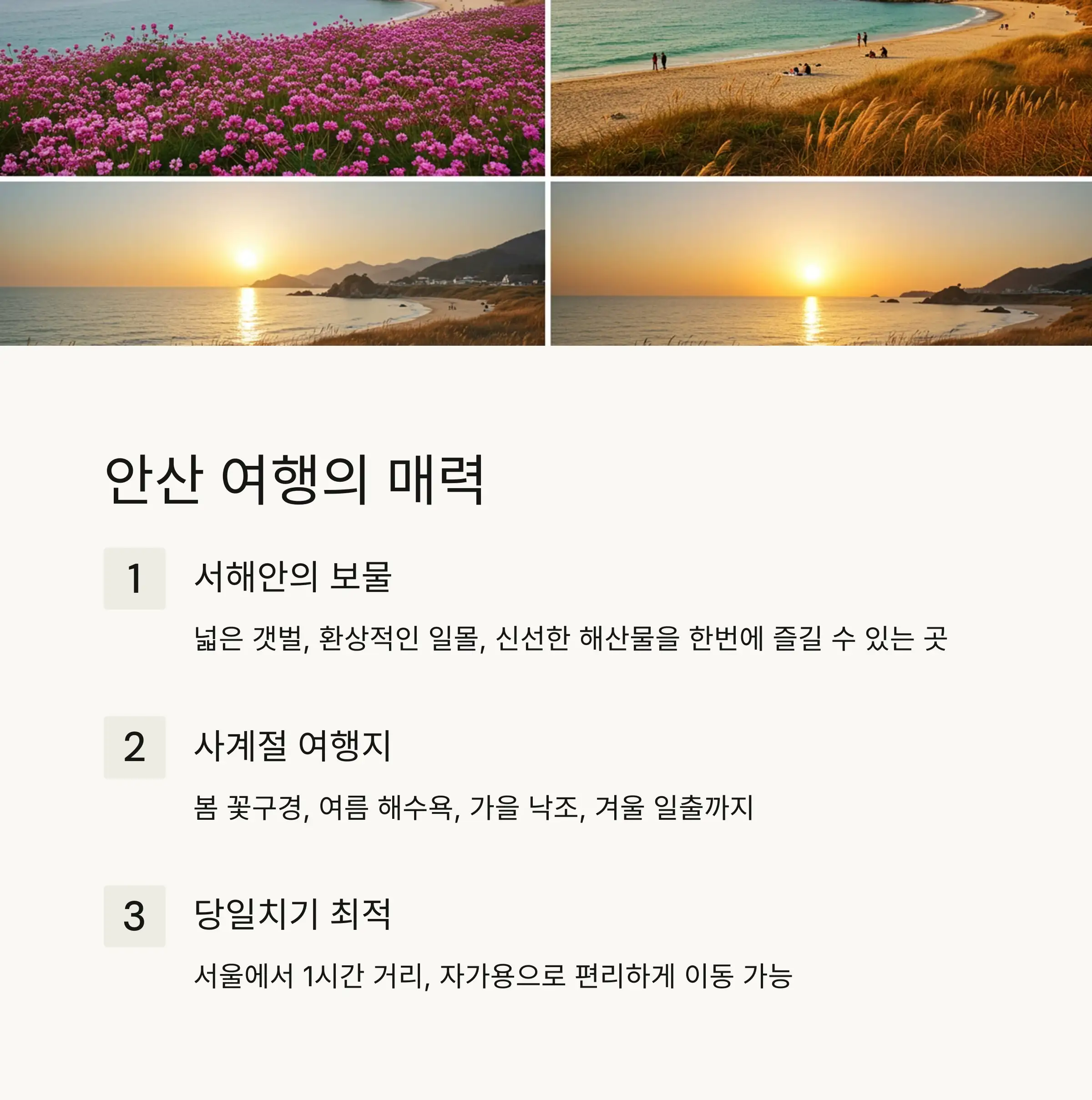 🌊 안산 여행의 매력