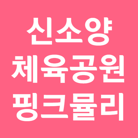 신소양 체육공원의 핑크뮬리