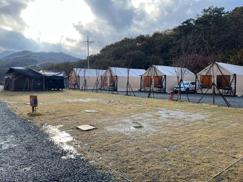 캠프달링 잔디 사이트