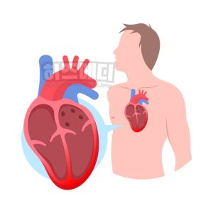 쯔쯔가무시 증상