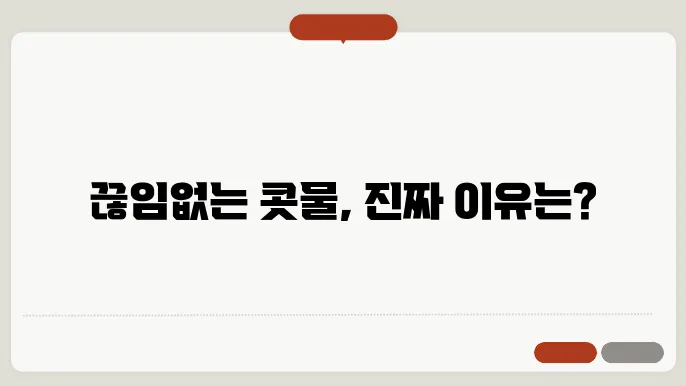콧물이 계속 나는이유