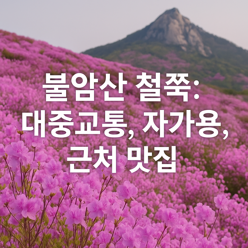불암산 철쭉제 썸네일 사진