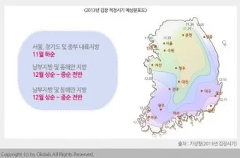 김장 적정 기온 절임 배추 보관 통풍 위치 점검_17