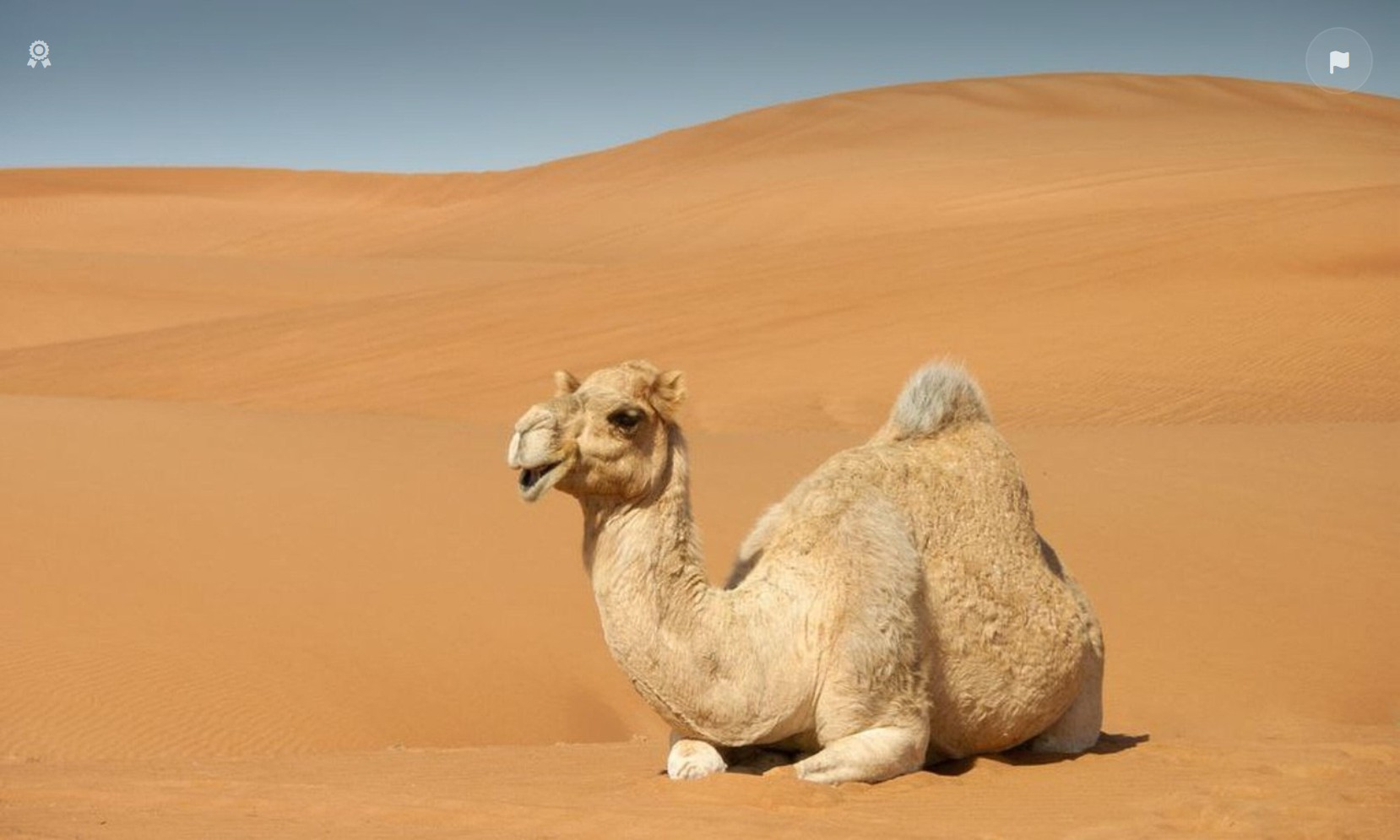 사우디아라비아 알울라: 사막 위 신비의 도시, 그 너머를 걷다