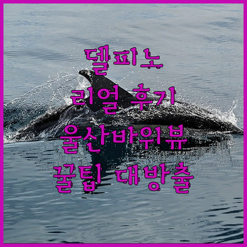 델피노 리얼 후기! 뷰 맛집 인정? 