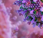 무료 접종 대상 바뀌었다? 2025년 독감 예방주사 최신 안내 및 주의사항 