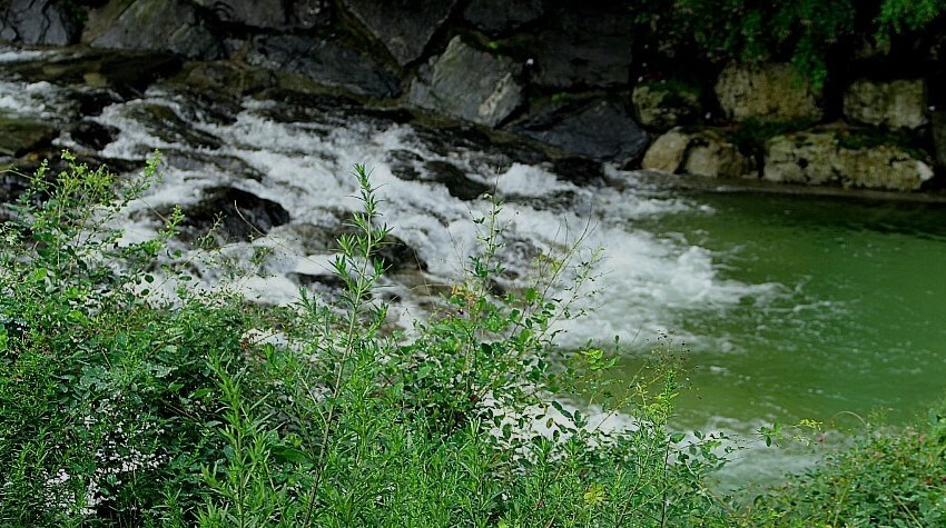 [여름휴가추천]경기도에서 꼭 가봐야 할 여름 계곡 추천 Best 6