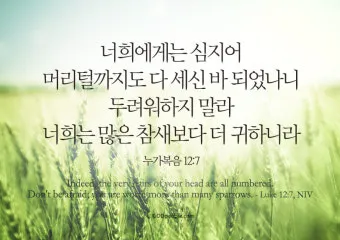 매일성경묵상(누가복음 12장 13-34절) 누가 네 인생의 주인이냐?_17