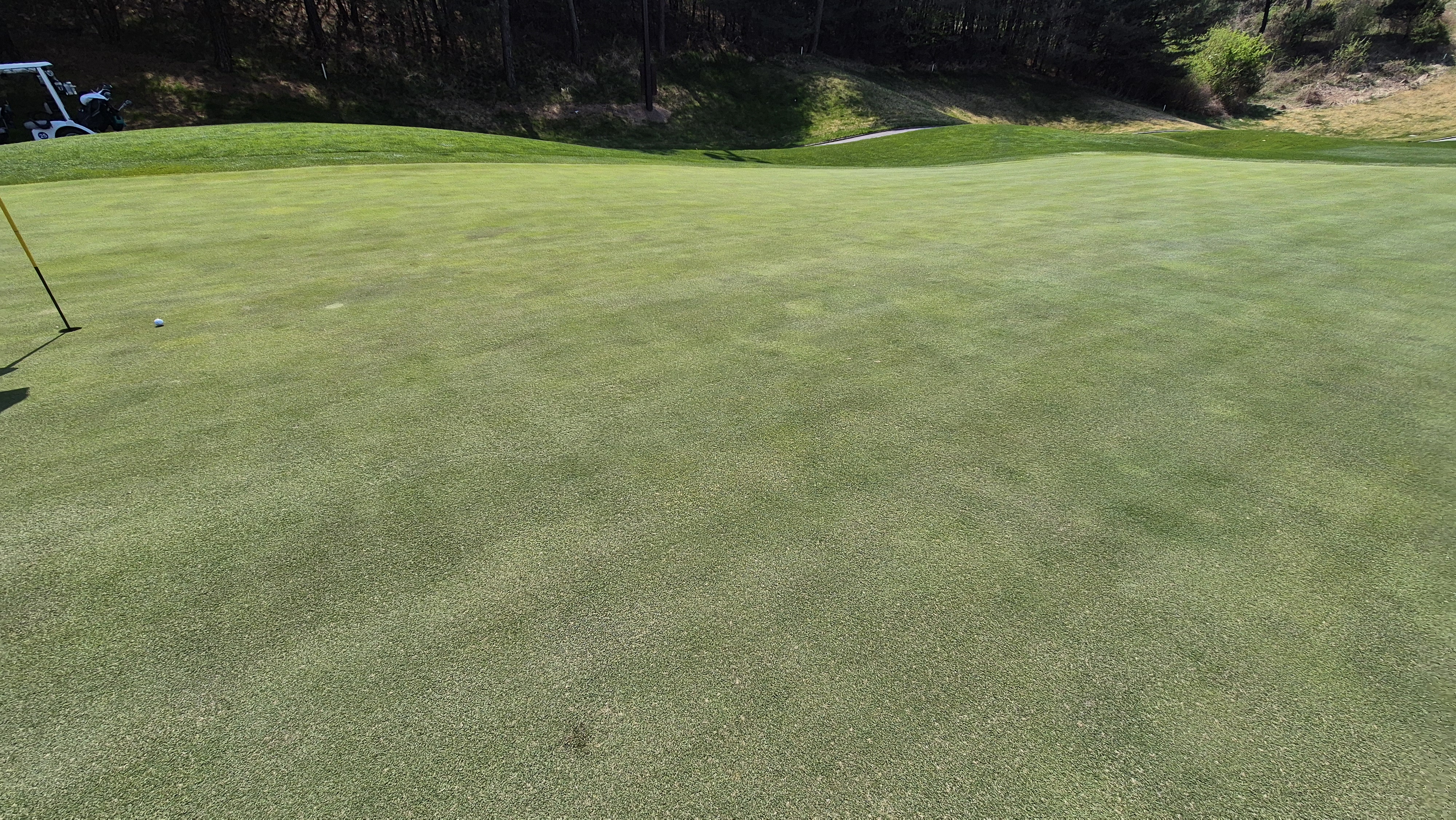 소노펠리체cc 비발디파크 웨스트