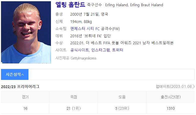 엘링 홀란드 (출처 : Daum 인물검색)
