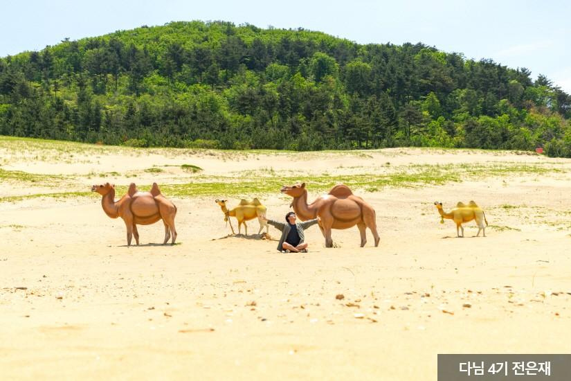옥죽포 모래사막 (출처:한국관광공사)