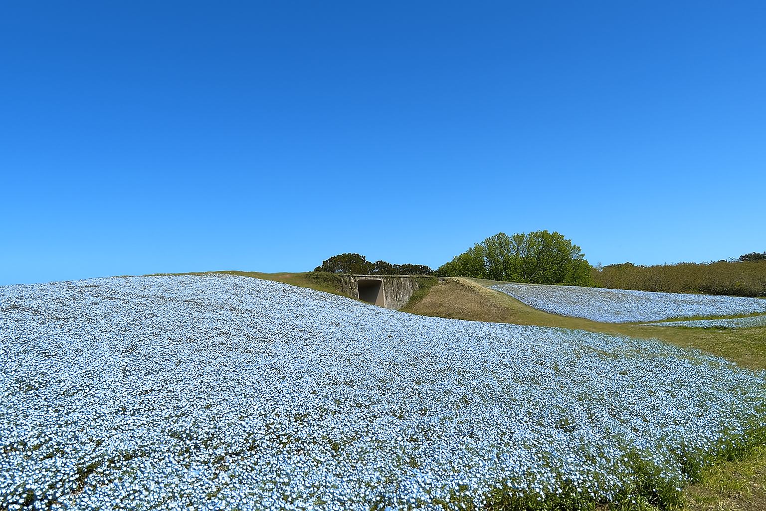 후쿠오카여행 가볼만한곳 TOP10