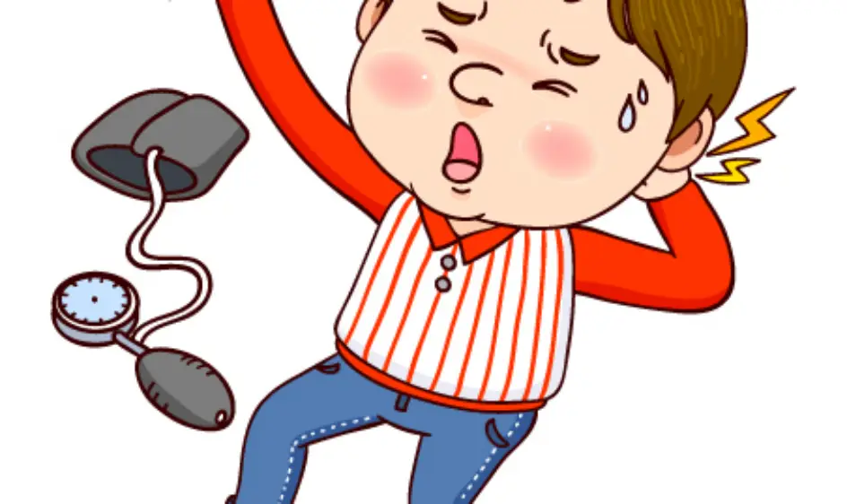 고혈압 낮추는 식단