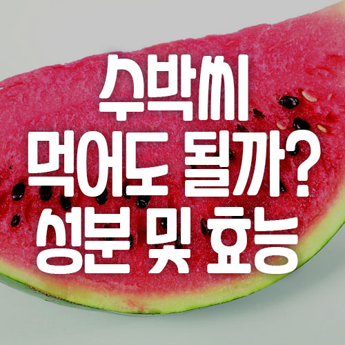 수박씨 성분 및 효능
