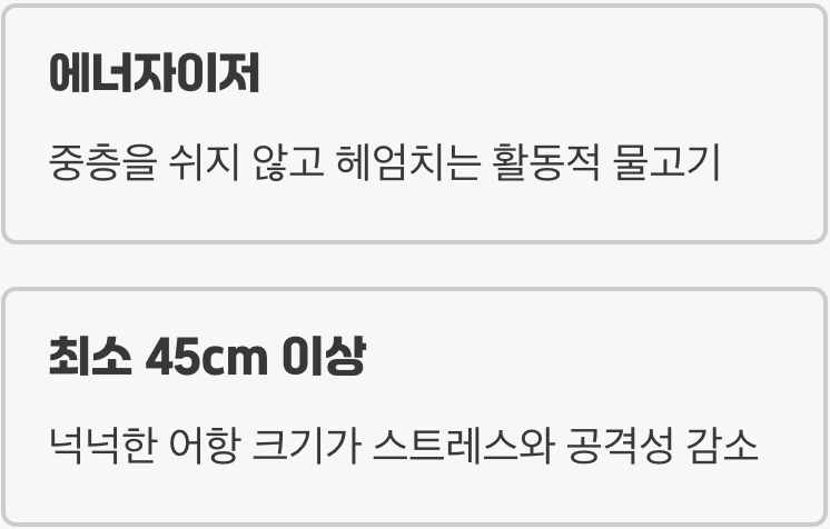 어항 - '놀이터'가 좁으면 싸움이 나요