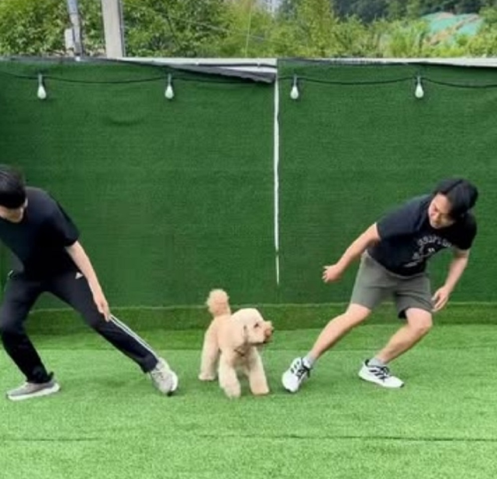 애견유치원-서용석-달인