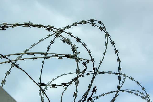 끓는 물 속의 개구리 증후군 뜻과 유래