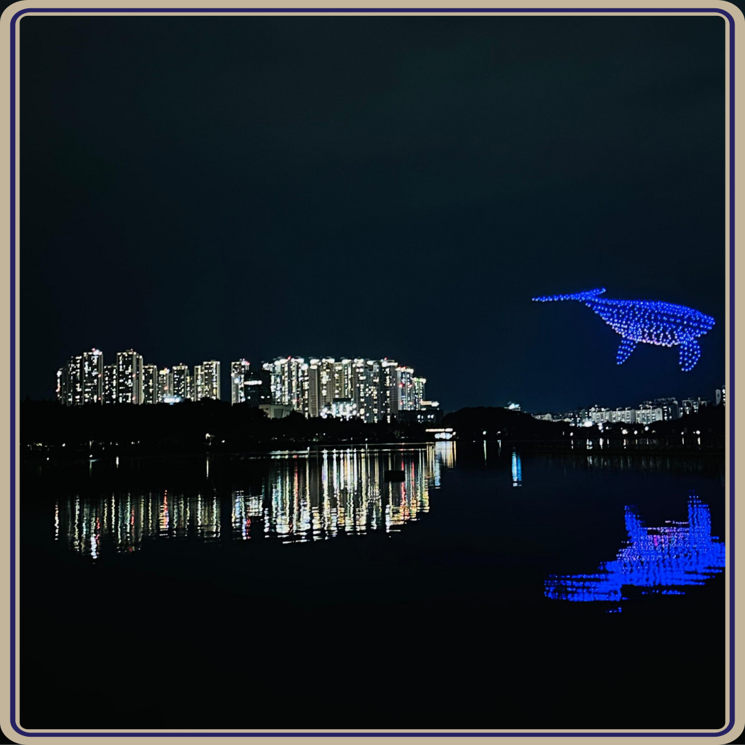 2025 한강 드론쇼 일정 총정리