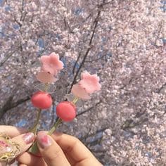 벚꽃