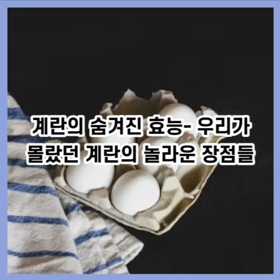 계란의 숨겨진 효능- 우리가 몰랐던 계란의 놀라운 장점들