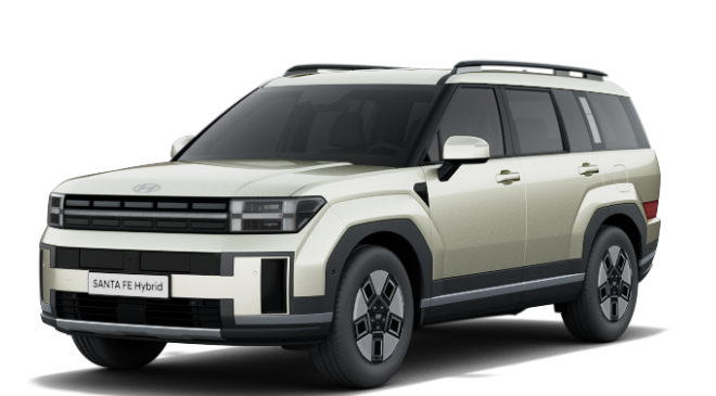 싼타페 MX5 모델