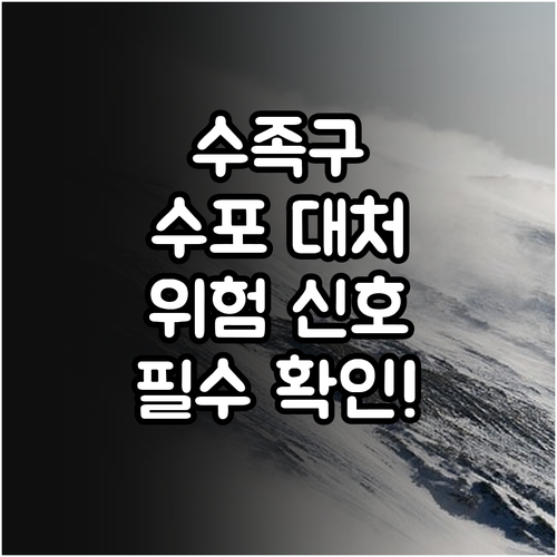 수족구 입안 수포 케어 방법과 위험 ..