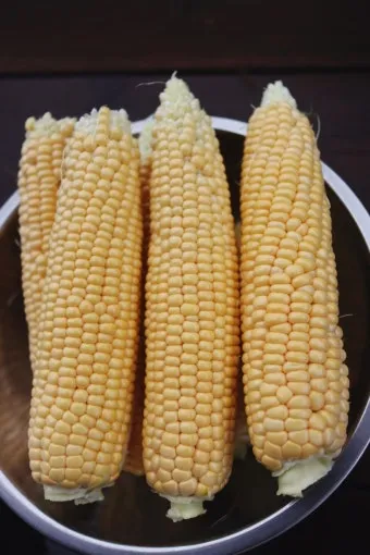 옥수수 키우는 법 품종 파종 수분수 당도 올리는 비결_8