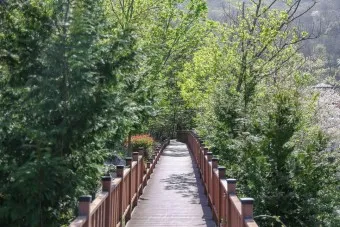 보성 가볼만한곳 베스트10 현지인 추천 필수코스_25