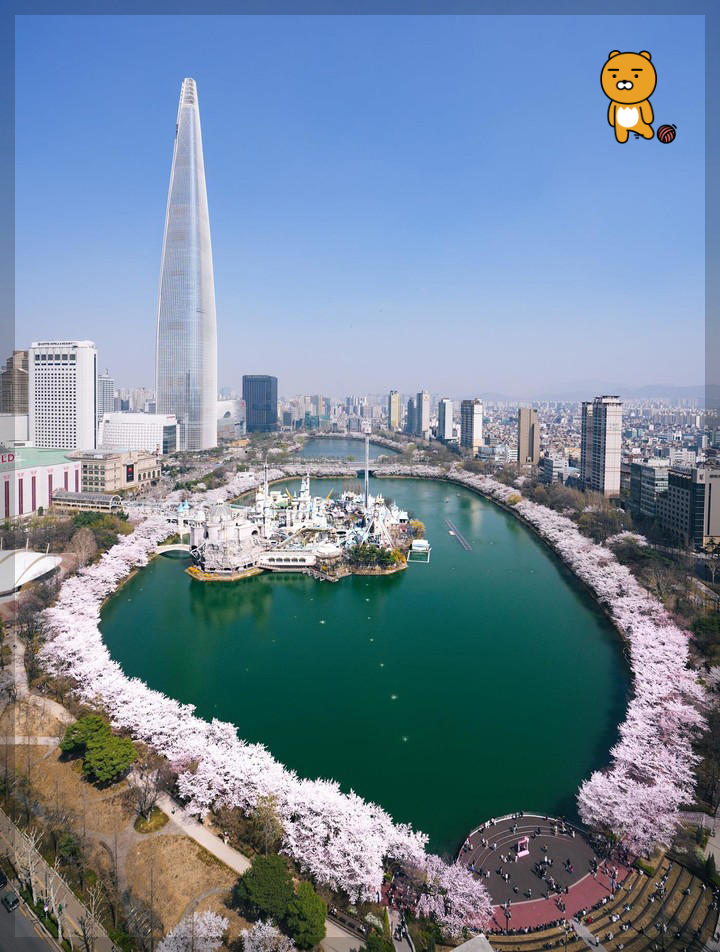 서울 벚꽃, 석촌 호수
