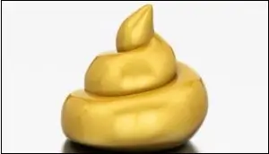 눈앞에 누런 똥이 있는꿈