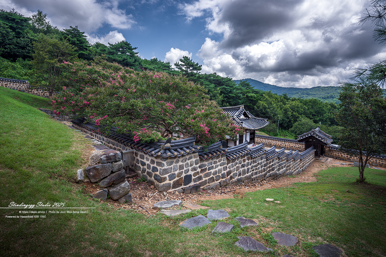 #논산 #종학당 #파평윤씨 #배롱꽃