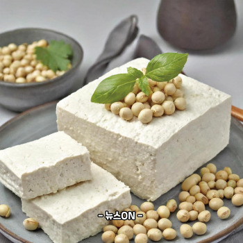 알부민 많은 음식