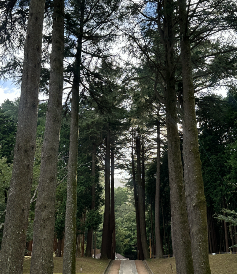 양산 법기수원지