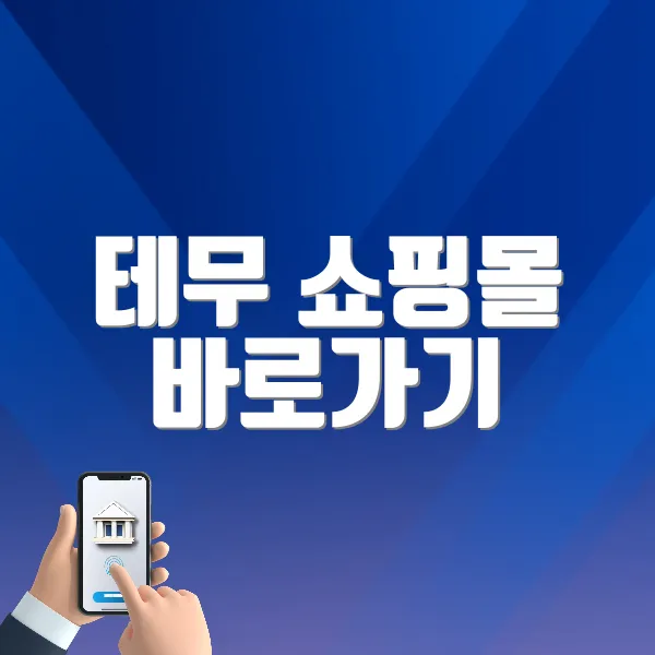 테무 쇼핑몰 바로가기 (www.temu.com/)