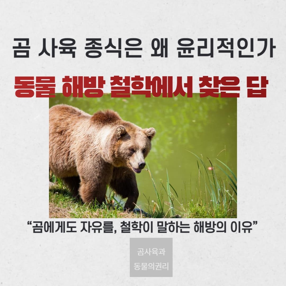 곰 사육 종식은 왜 윤리적인가 : 동물 해방 철학에서 찾은 답