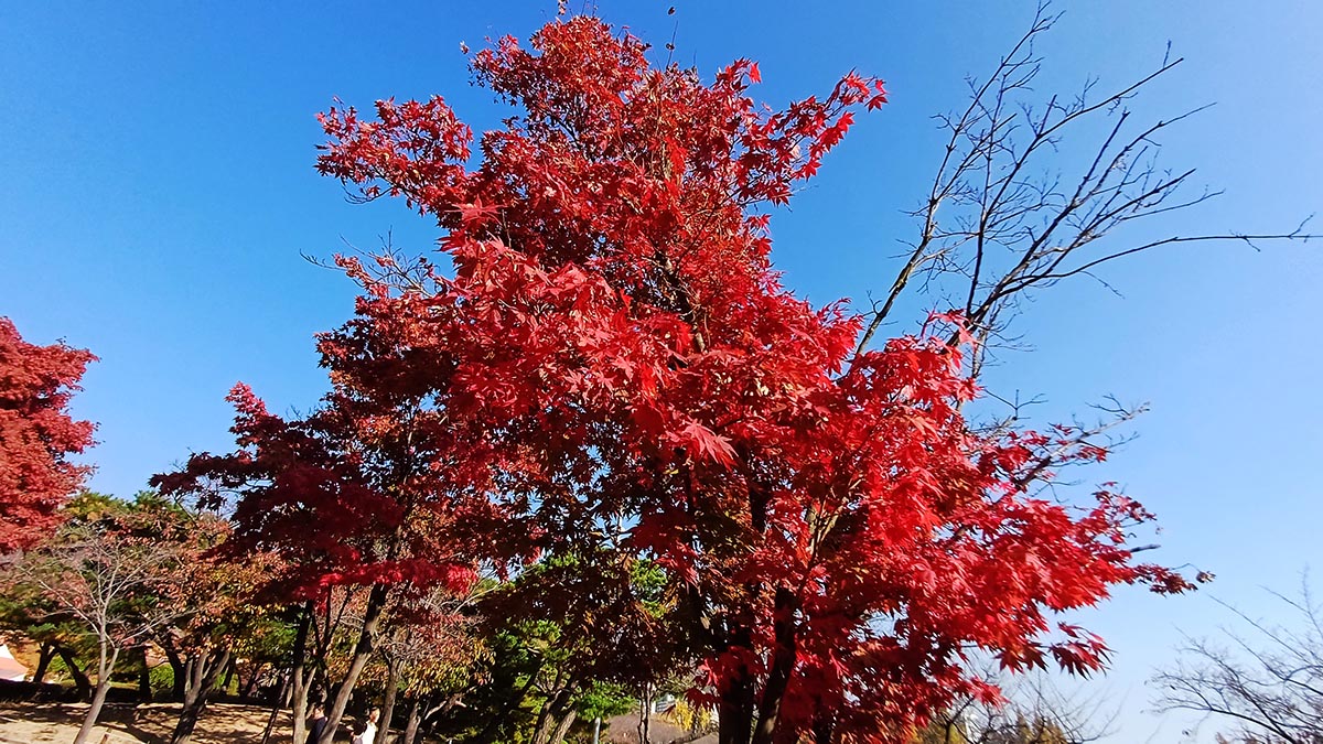 겨레의탑 미디어파사드