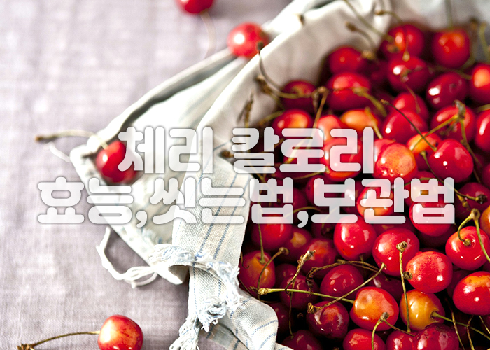 테이블보 위에 체리들이 담겨져있다