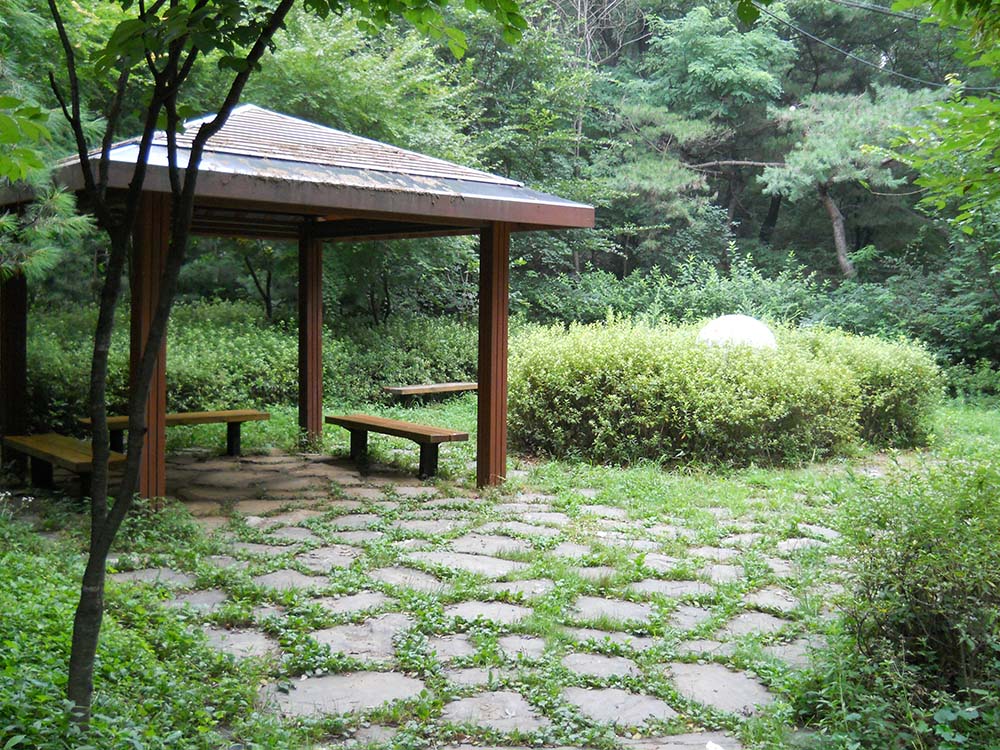 서대문구 안산자락길(AnsanJarakgil) 매미소리