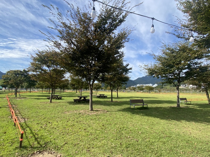 경남 황산공원 캠핑장 소개