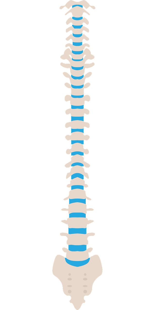 척추마취와 경막외마취 환자 간호
