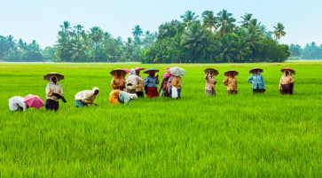 농민수당&amp;#44; 농어민수당&amp;#44; 농민기본소득&amp;#44; 농민공익수당 신청자격&amp;#44; 기간&amp;#44; 방법