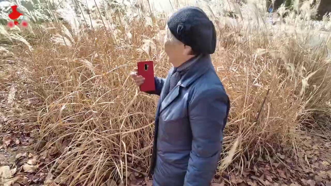 억새 옆에서 휴대전화를 들고 풍경을 즐기는 일행