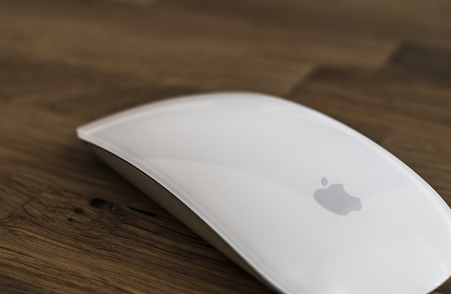 pdf파일을-jpg파일로-변환