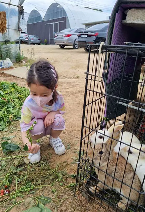 별마을딸기체험농장