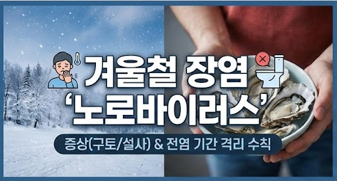 '노로바이러스' 증상(구토/설사)