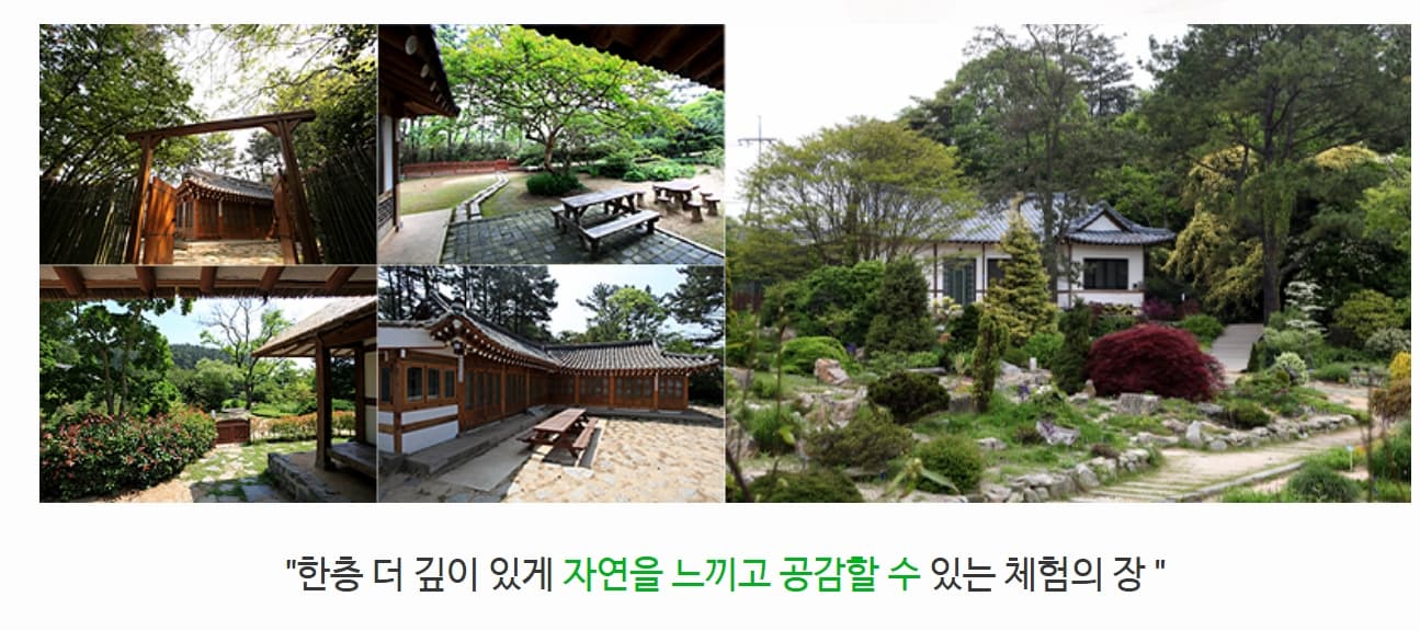 천리포수목원 목련축제｜비공개 정원 개방, 숙박, 온라인예약 팁까지!