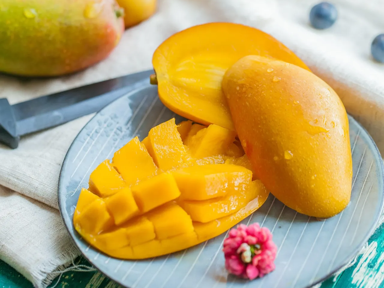 체내 산화 부담 낮추는 망고효능