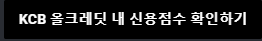 신용점수 확인하기